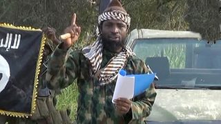 Beryl TV sambisa-320x180 STRONG BOKO HARAM LEADER SHEKAU HAS BEEN REPORTED DEAD FIVE TIMES News Nigeria Daily Entertainment News | Top headlines | Celebrity News and lifestyle - Beryl Tv  